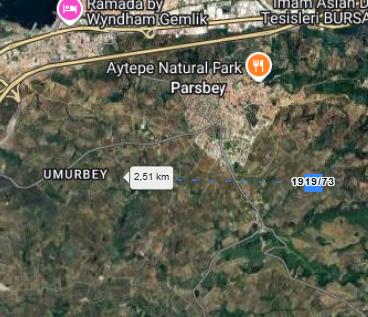 BURSA GEMLİK UMURBEY MAH. ZEYTİNLİĞİN 579M² Sİ SATILIK - BURSA GEMLİK fotoğraf 3